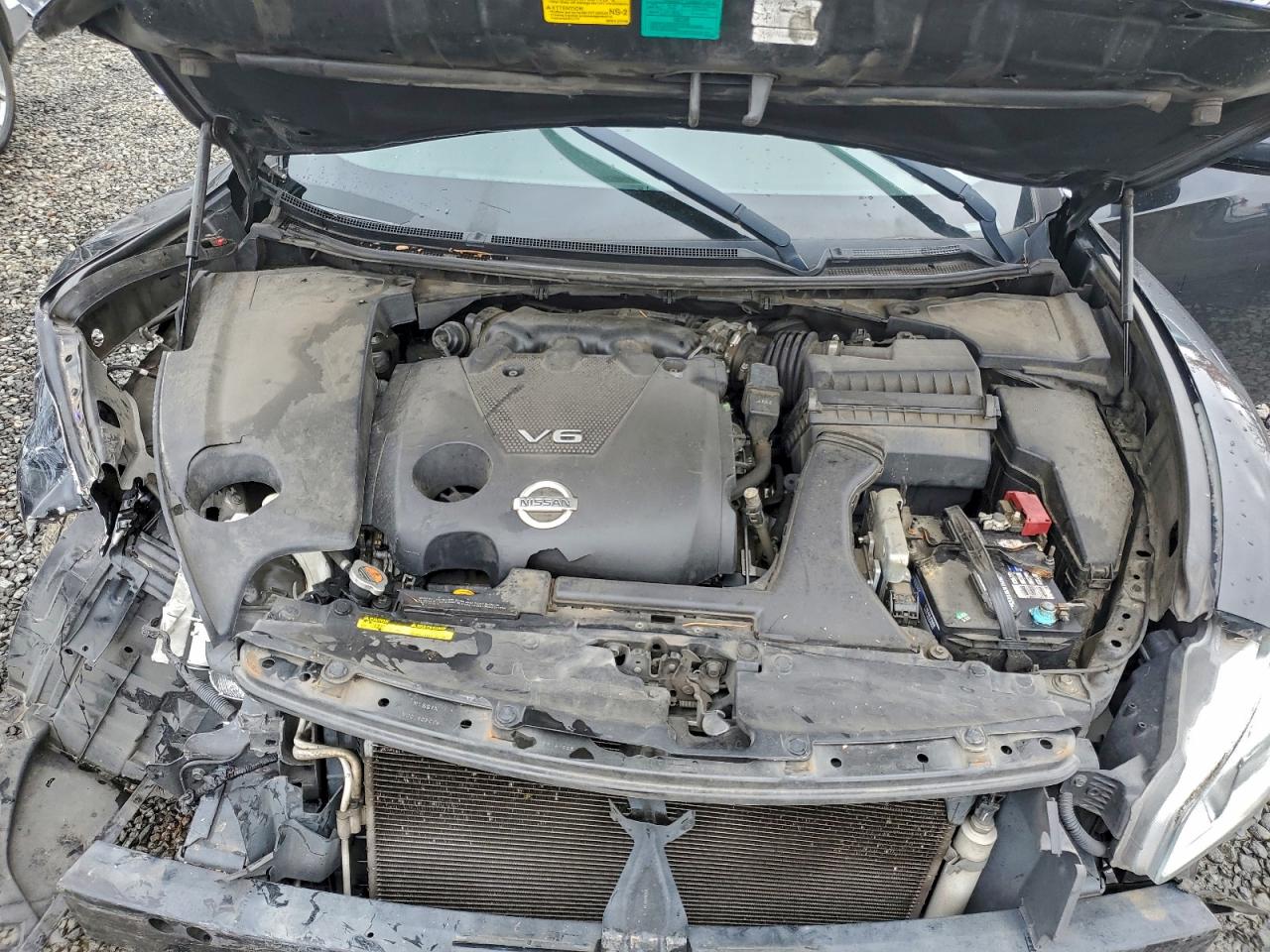 Nissan Maxima S Image 9