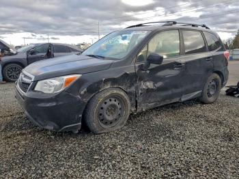  Salvage Subaru Forester