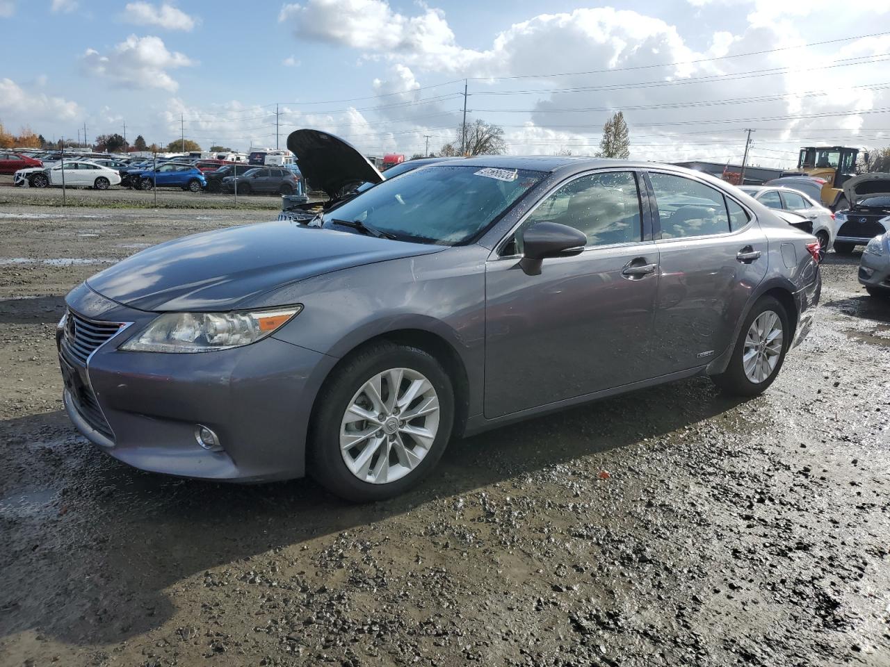 Lexus Es 300h Image 1
