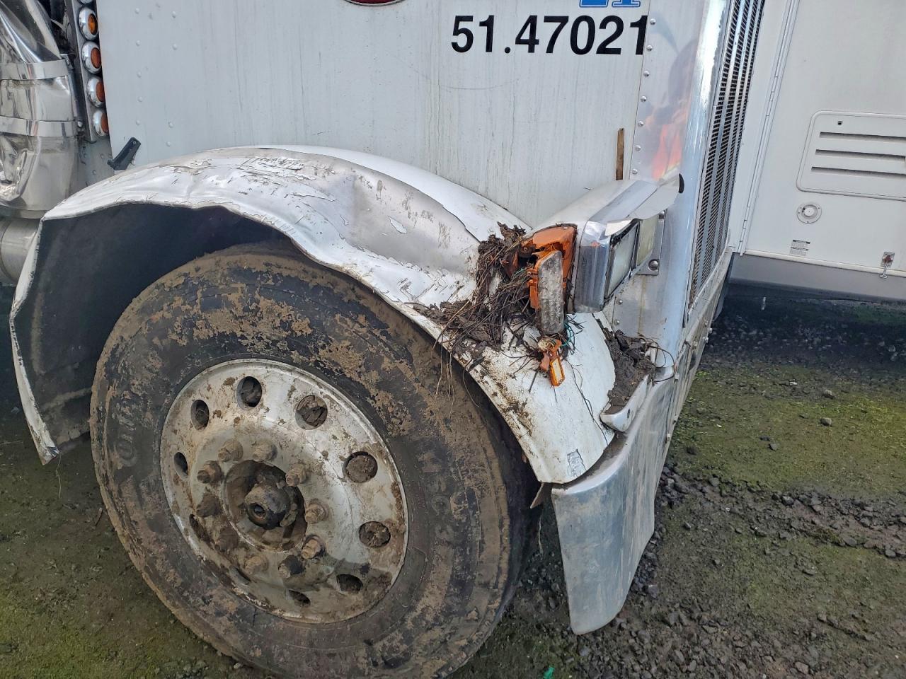 Peterbilt 379 Image 8