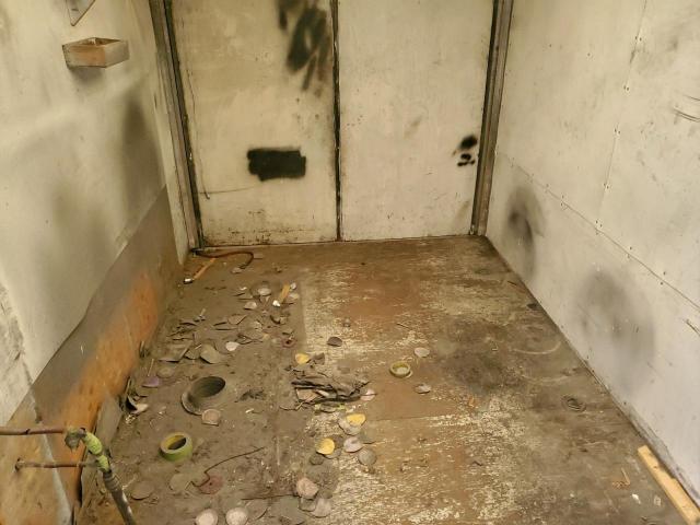 Western World Other Image 6