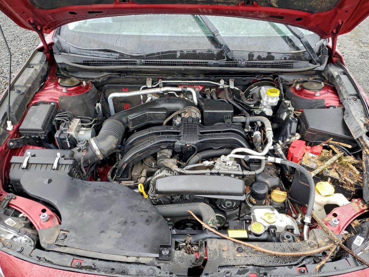 Subaru Outback Limited Image 10