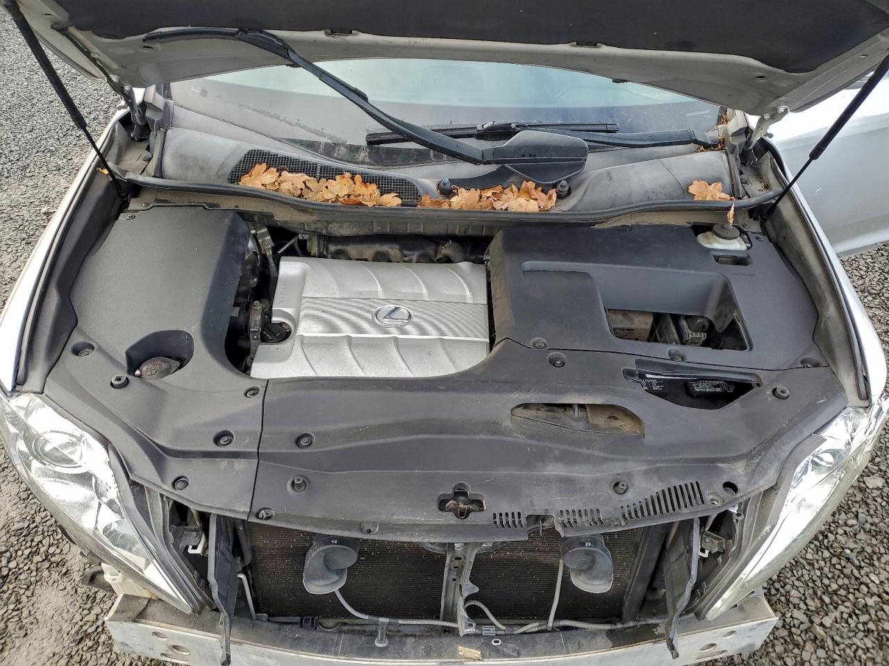 Lexus RX 350 Image 2