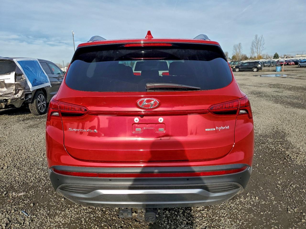 Hyundai SANTA FE Limited Image 5