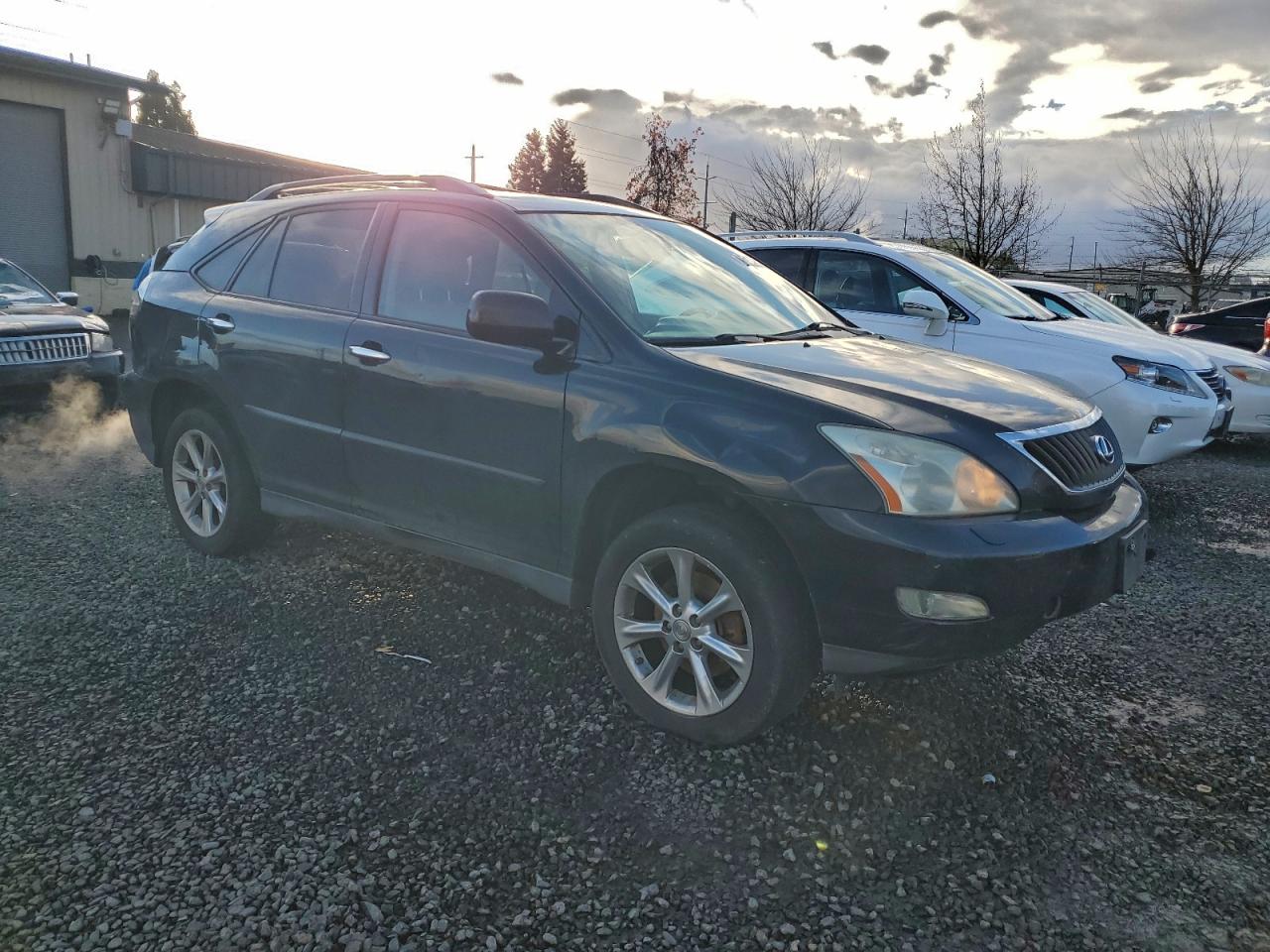 Lexus RX 350 Image 7