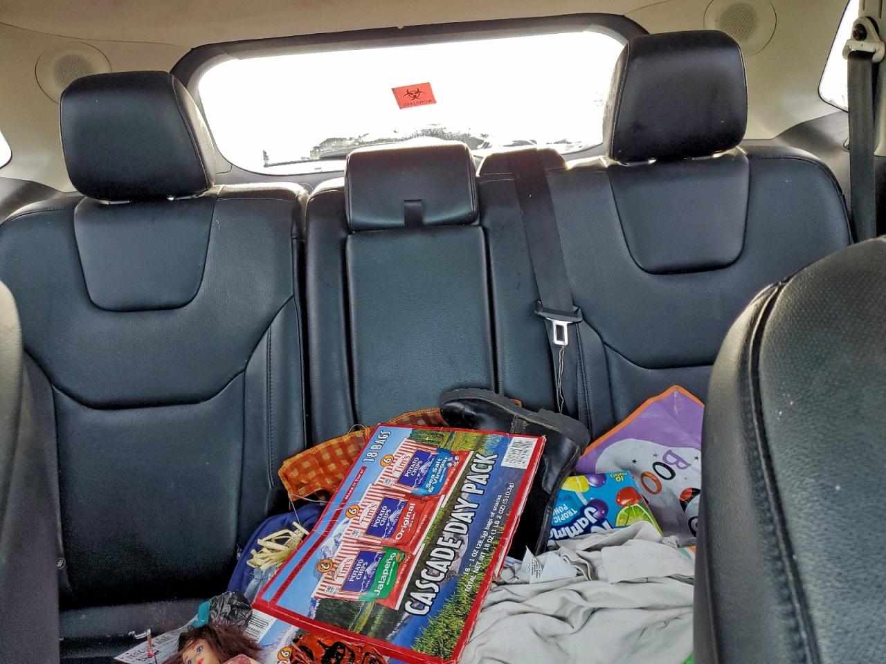 Ford Edge Titanium Image 10