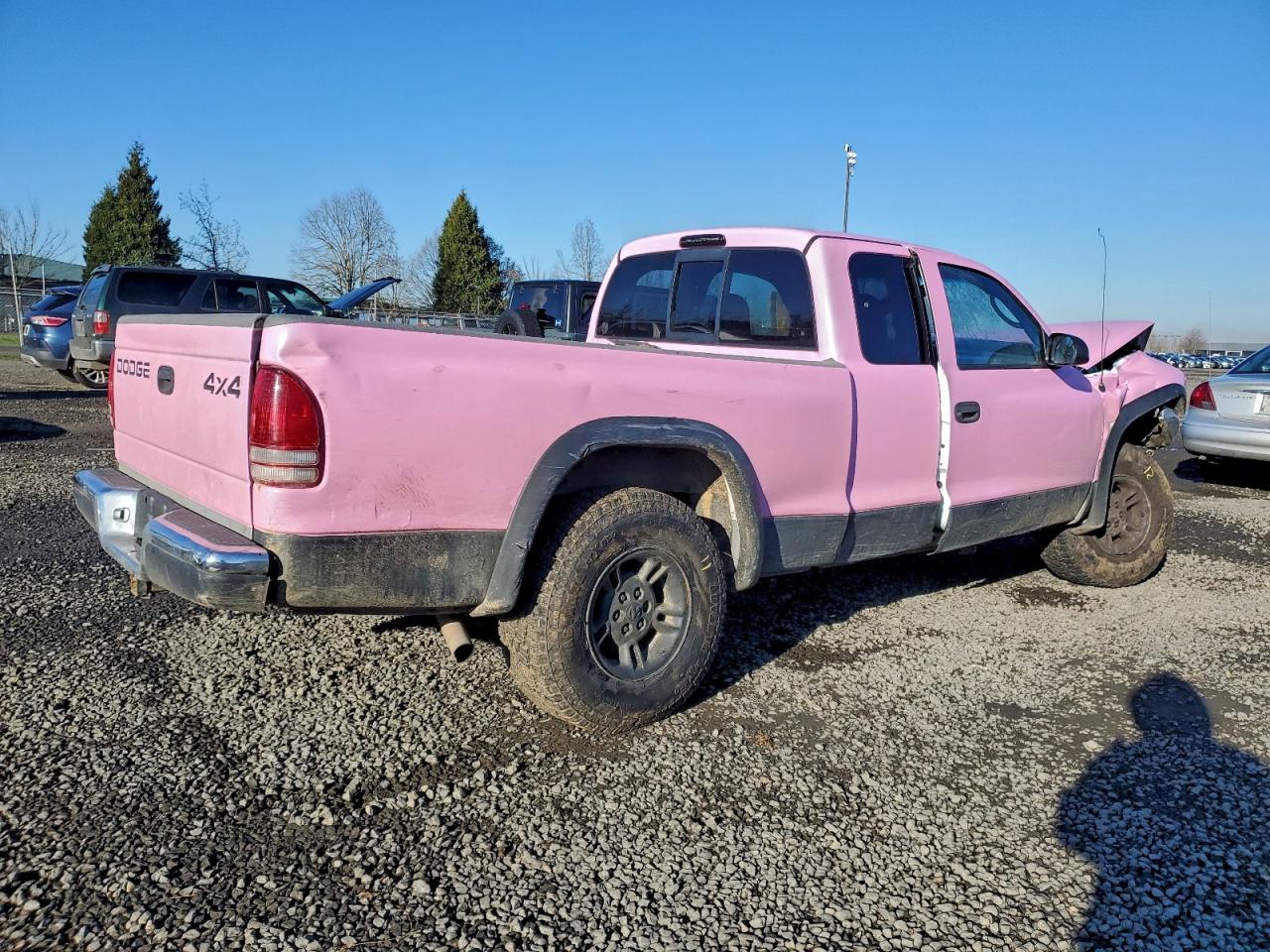 Dodge Dakota Image 11