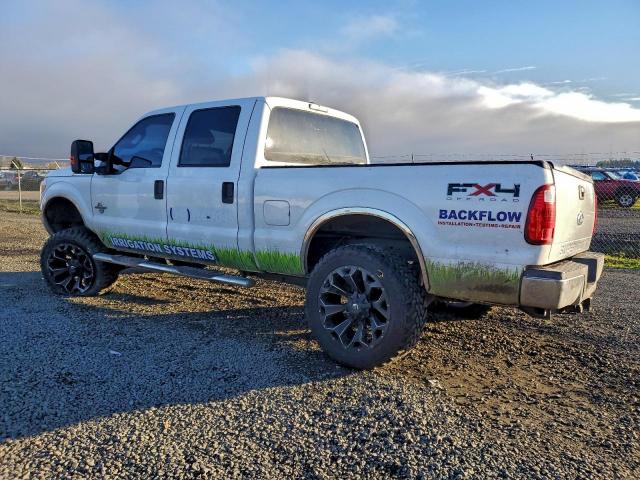 Ford F-250 Super Duty Image 2